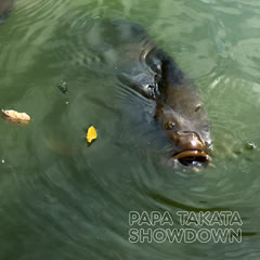 Papa Takata: Sommersession (album)